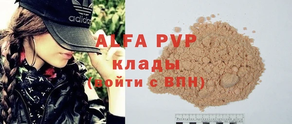 прущий лед Богданович