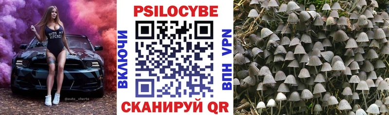 ссылка на мегу ссылки  Волжск  Галлюциногенные грибы Cubensis  продажа наркотиков 